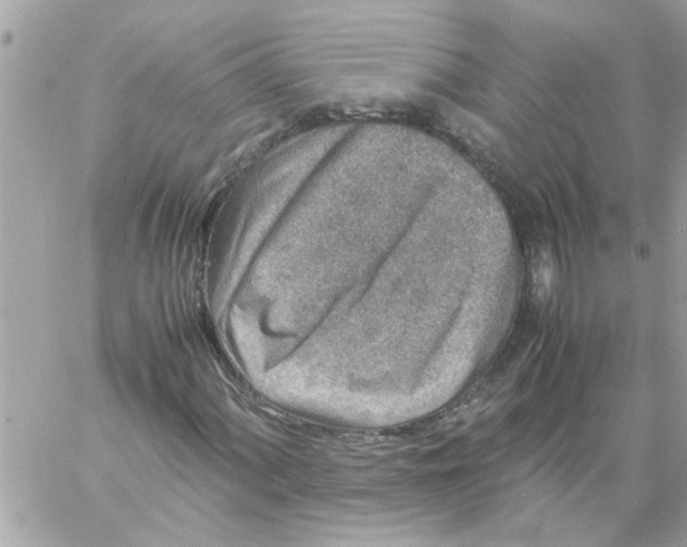 X0000057081060200510071839