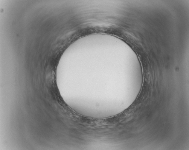 X0000057081061200510071839