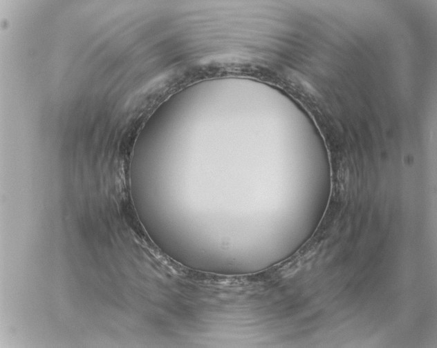 X0000057081062200510071839