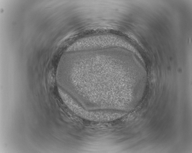 X0000057081063200510071839