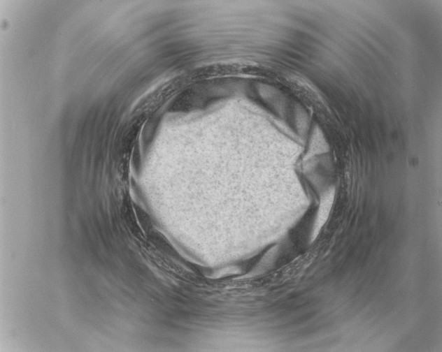 X0000057081064200510071839