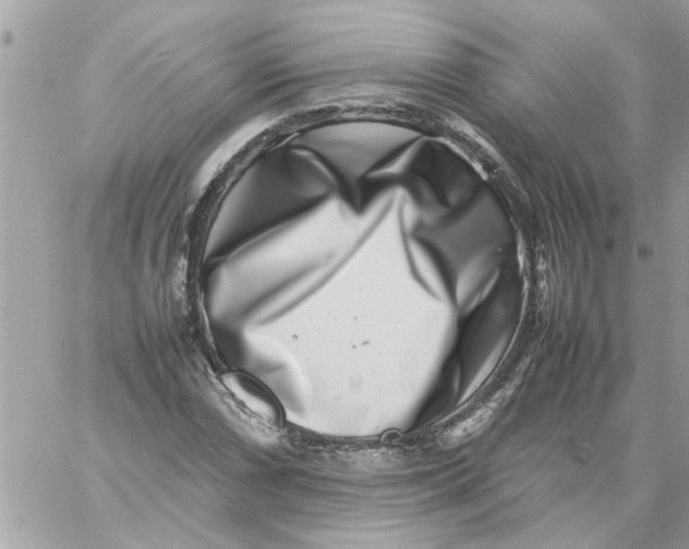 X0000057081066200510071839