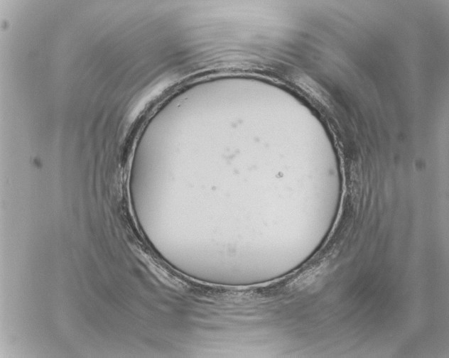 X0000057081067200510071839