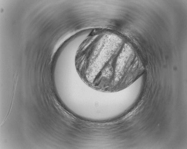 X0000057081069200510071839