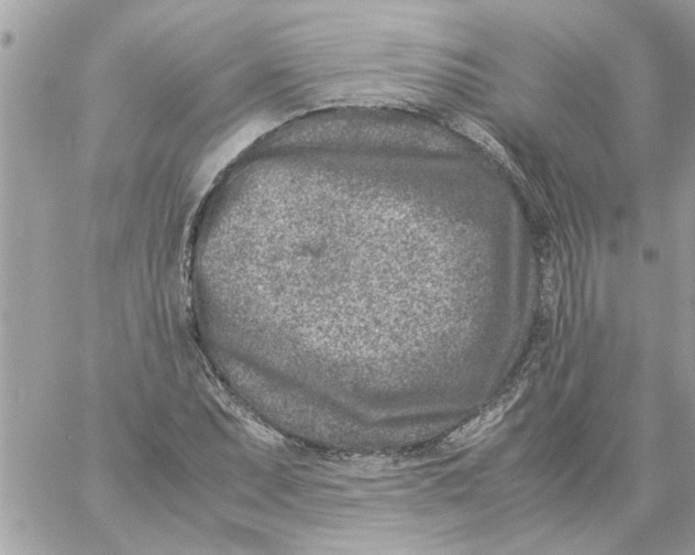 X0000057081071200510071839