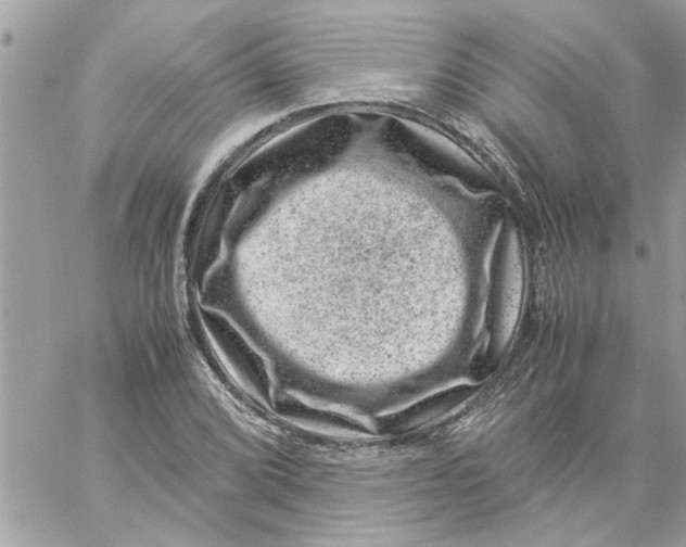 X0000057081072200510071839