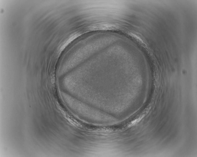 X0000057081073200510071839