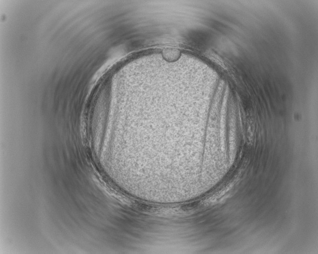 X0000057081074200510071839