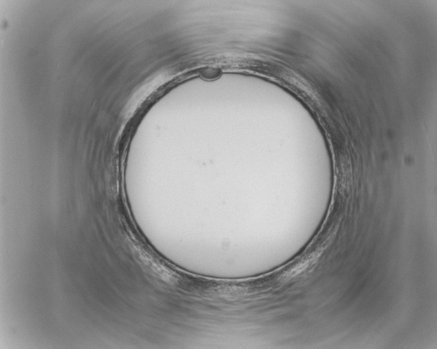 X0000057081075200510071839