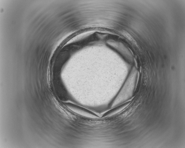 X0000057081076200510071839