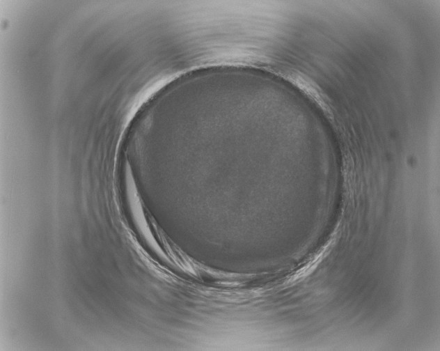 X0000057081077200510071839