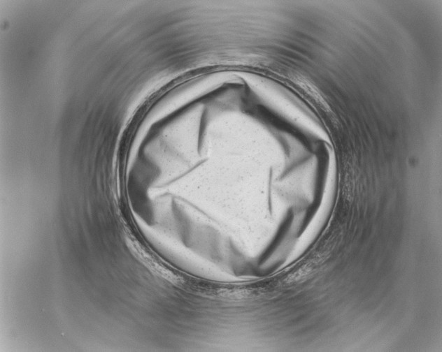 X0000057081080200510071839