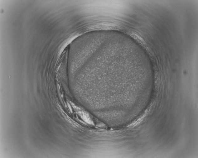 X0000057081081200510071839