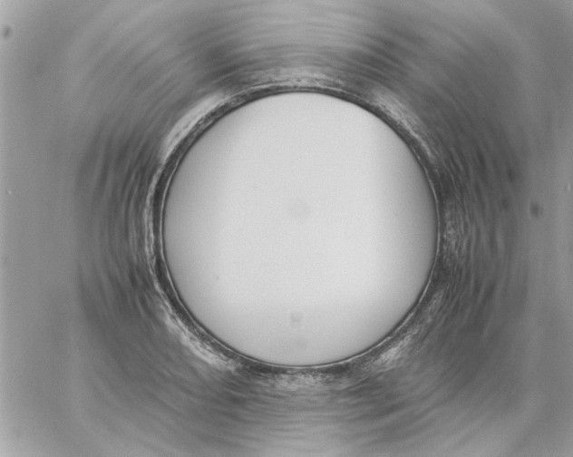 X0000057081082200510071839