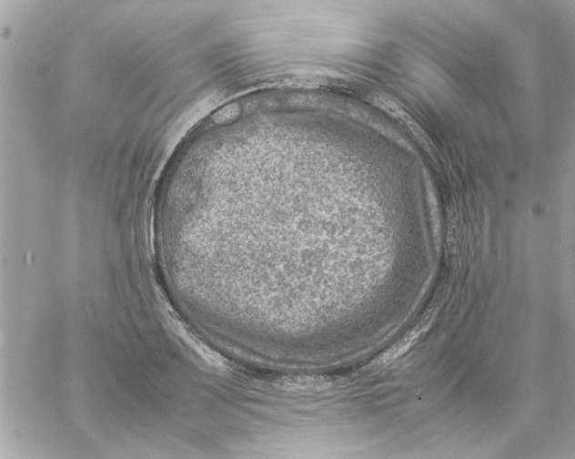 X0000057081083200510071839