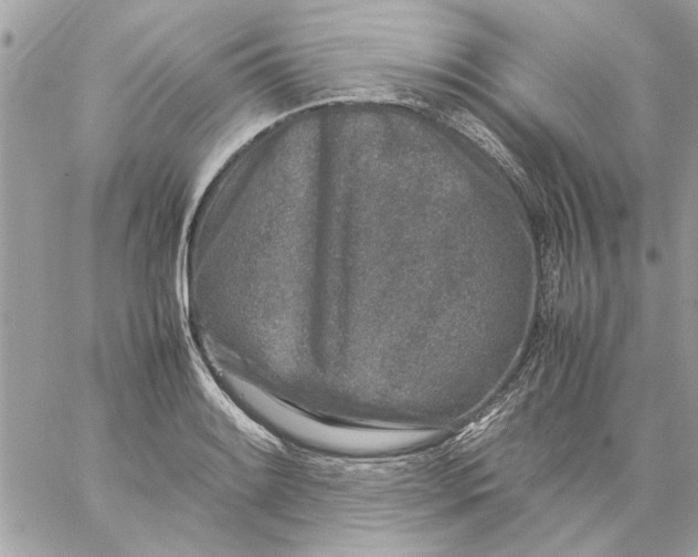 X0000057081084200510071839