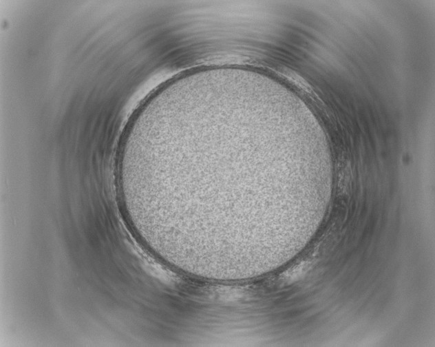 X0000057081086200510071839