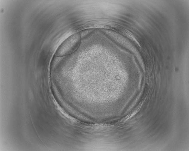 X0000057081087200510071839