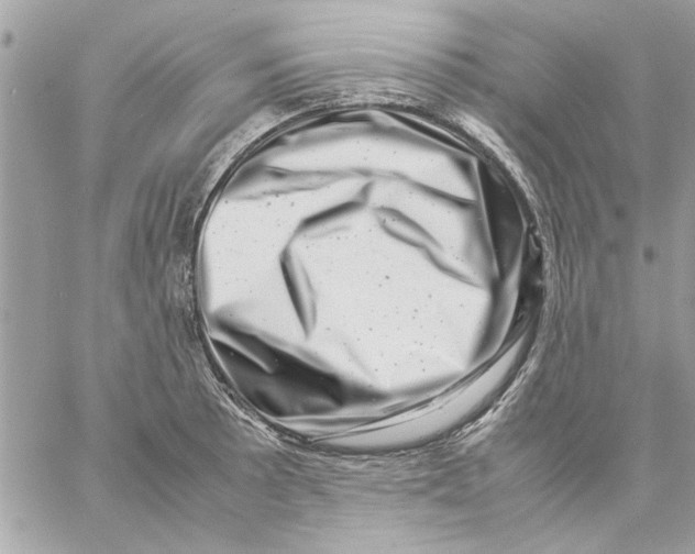 X0000057081089200510071839