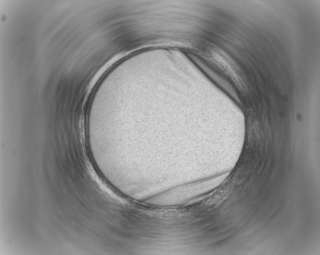 X0000057081092200510071839