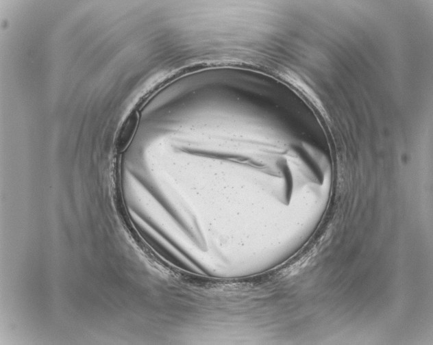 X0000057081093200510071839