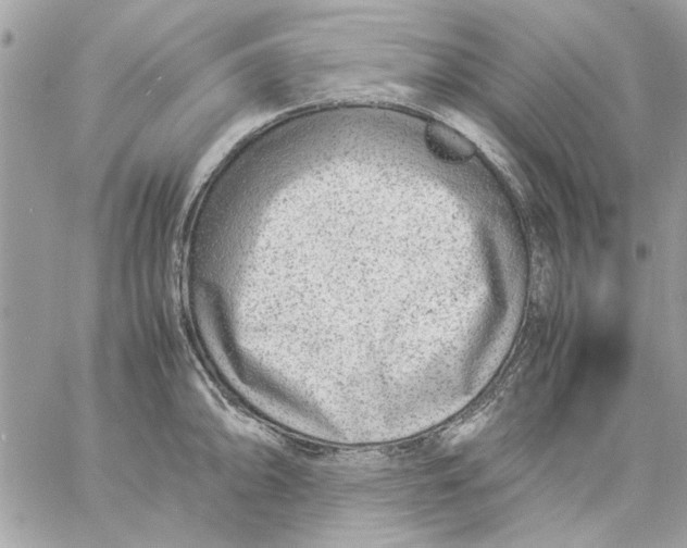 X0000057081094200510071839