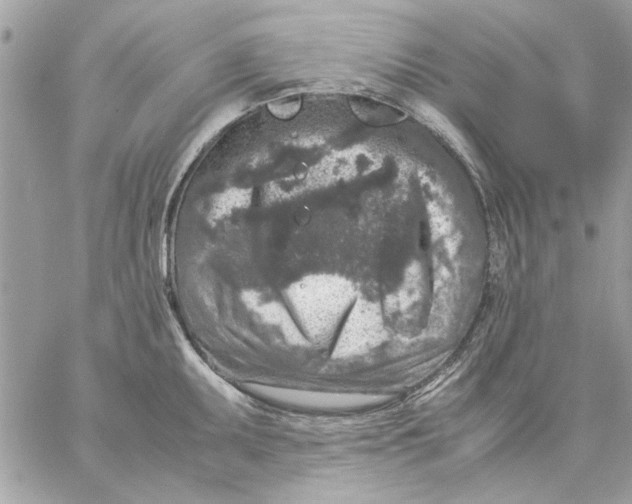 X0000057081095200510071839