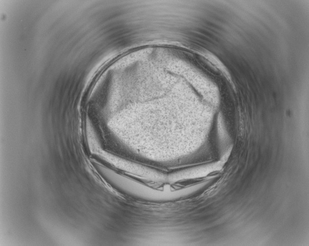 X0000057081096200510071839