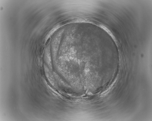 X0000057081097200510071839