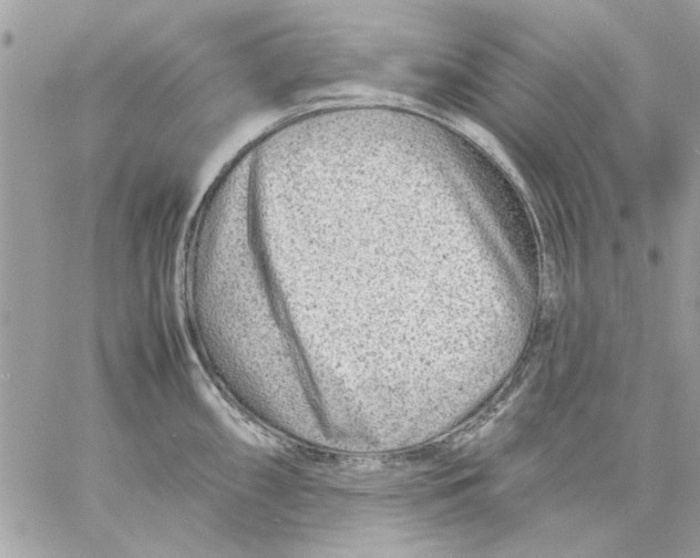 X0000057081098200510071839