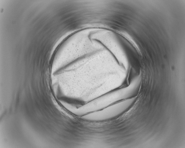 X0000057081100200510071839