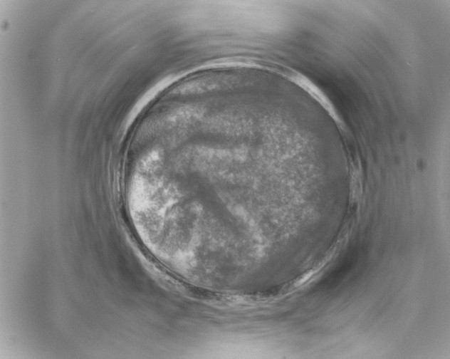 X0000057081101200510071839