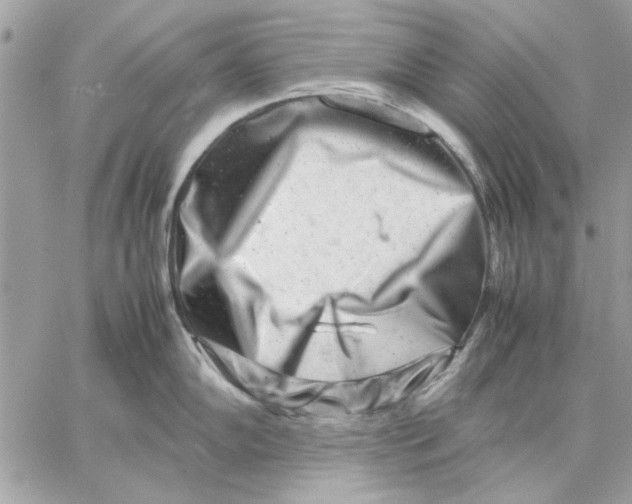 X0000057081102200510071839