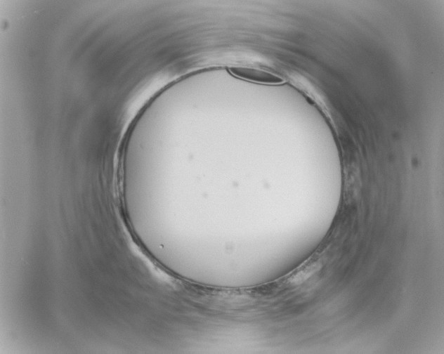 X0000057081103200510071839