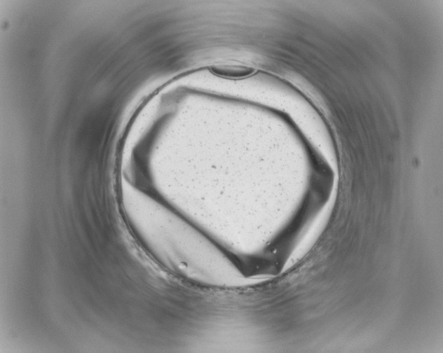 X0000057081104200510071839