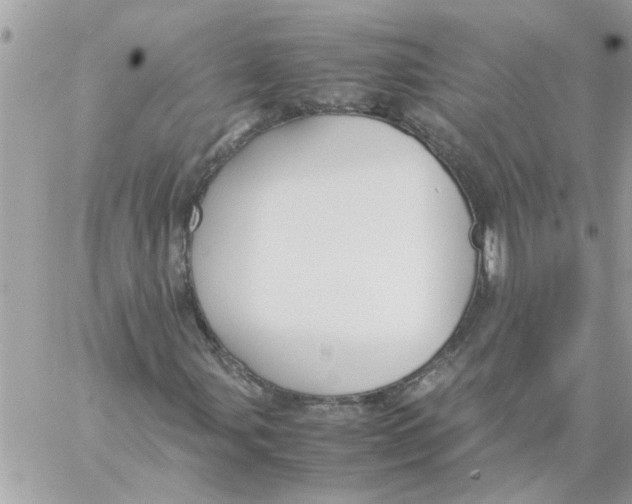 X0000057081107200510071838