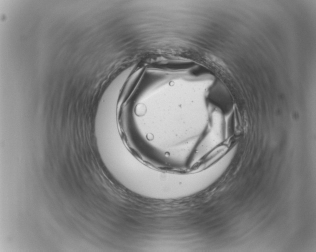 X0000057081108200510071838