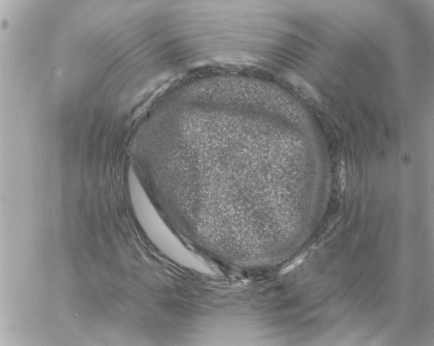 X0000057081110200510071838