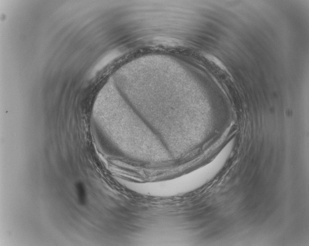 X0000057081112200510071838