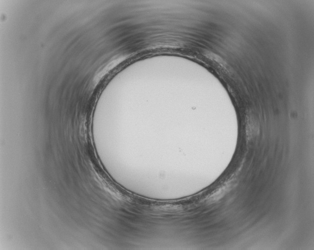 X0000057081113200510071838