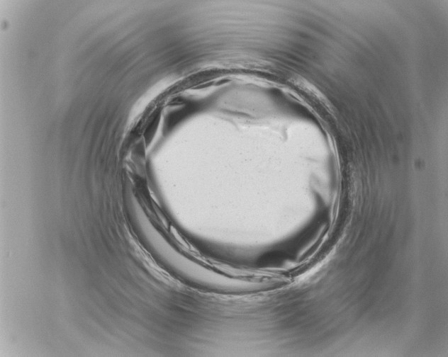 X0000057081114200510071838