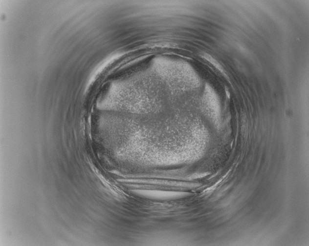 X0000057081115200510071838