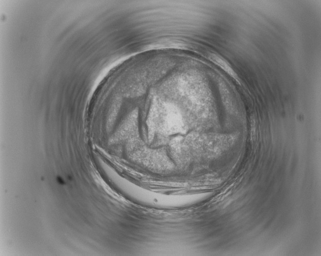 X0000057081116200510071838