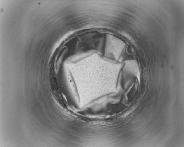 X0000057081118200510071838