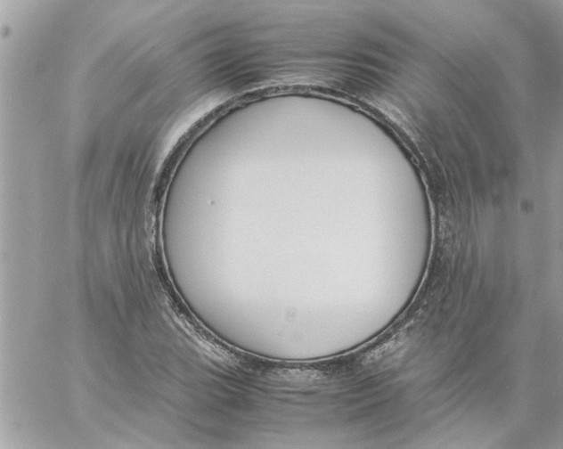 X0000057081119200510071838