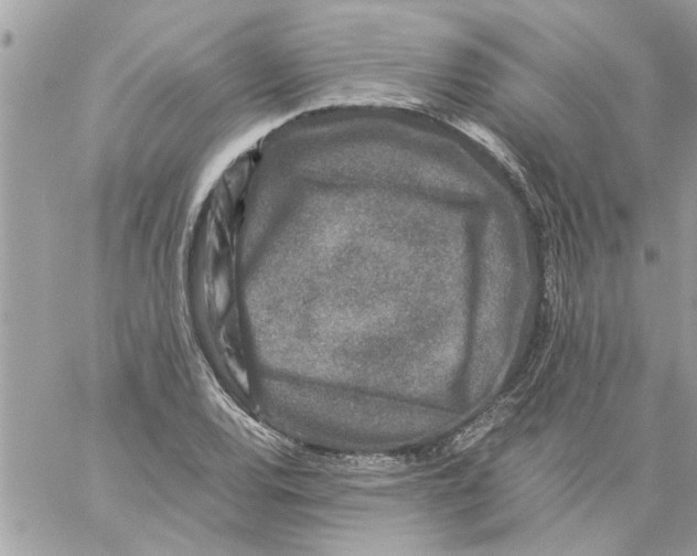 X0000057081120200510071838