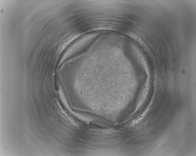 X0000057081121200510071838