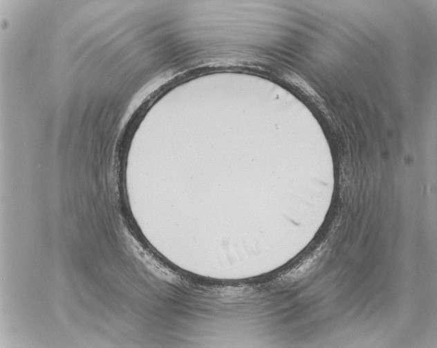 X0000057081122200510071838