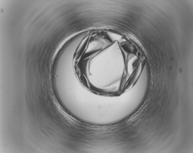 X0000057081124200510071838