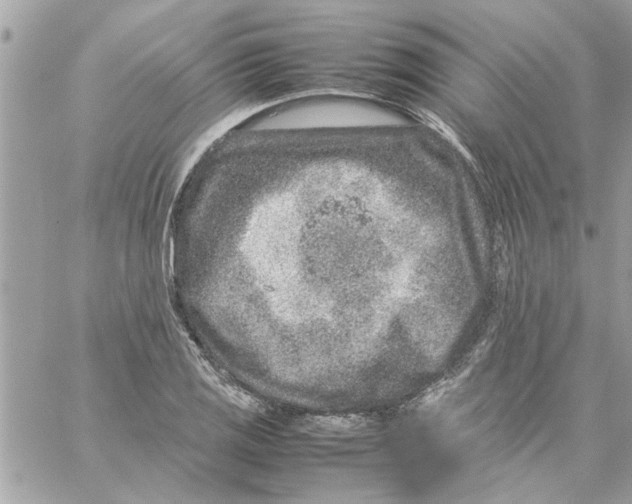 X0000057081125200510071838